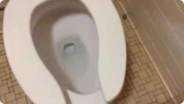 UNCLOGGING YOUR TOILET WITHOUT USING A PLUNGER