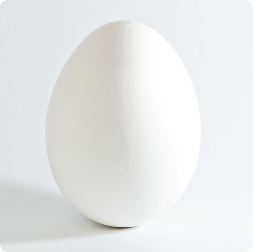 How much protein in an egg
