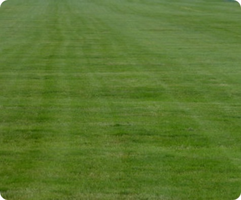 How many meters in a quarter mile 