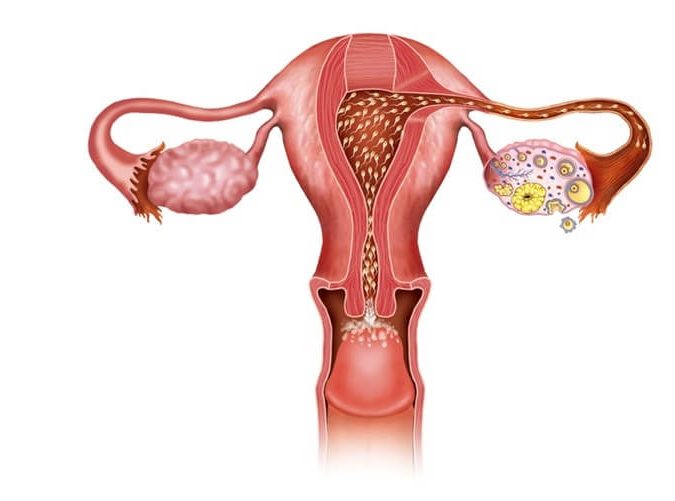 How long does implantation bleeding last