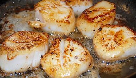 How to cook scallops