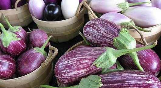 How to cook eggplant