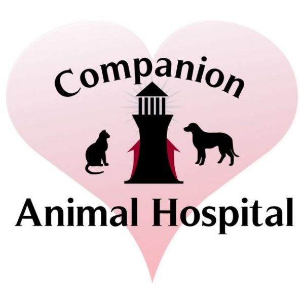 Companion Animal Hospital