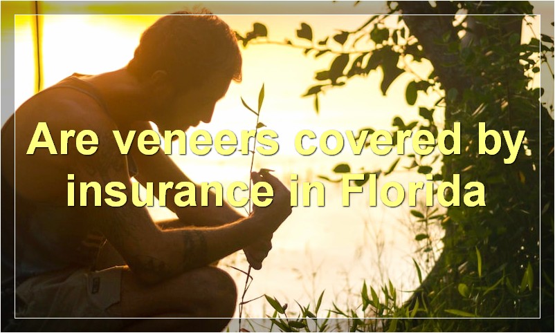 Are veneers covered by insurance in Florida?
