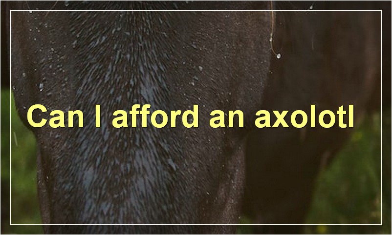 Can I afford an axolotl?