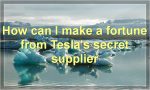 How can I make a fortune from Tesla's secret supplier?