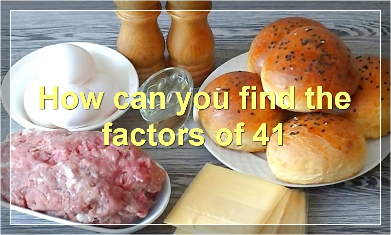 How can you find the factors of 41?