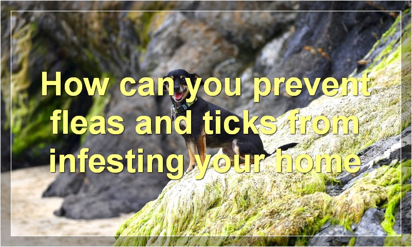 How can you prevent fleas and ticks from infesting your home?