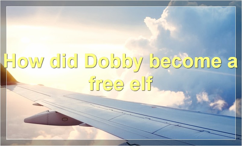 How did Dobby become a free elf?