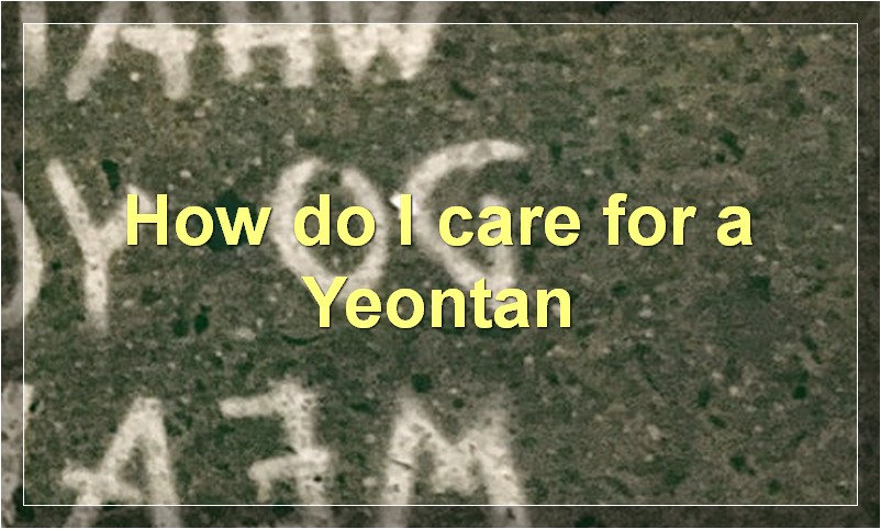 How do I care for a Yeontan?