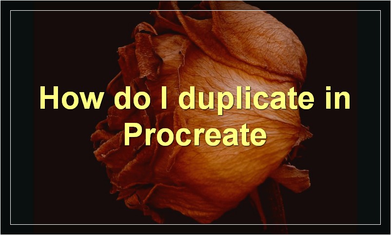 How do I duplicate in Procreate?