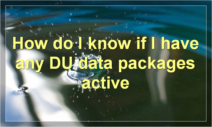How do I know if I have any DU data packages active?