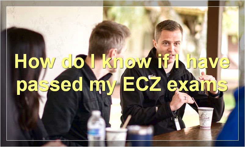 How do I know if I have passed my ECZ exams?