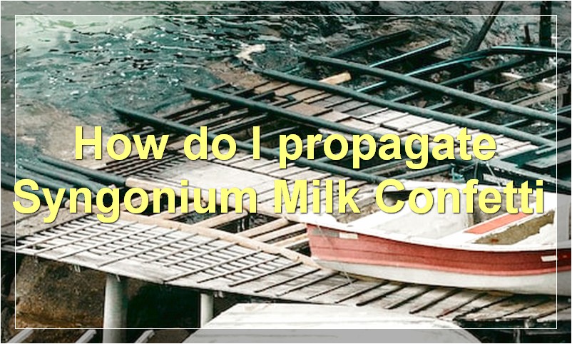 How do I propagate Syngonium Milk Confetti?