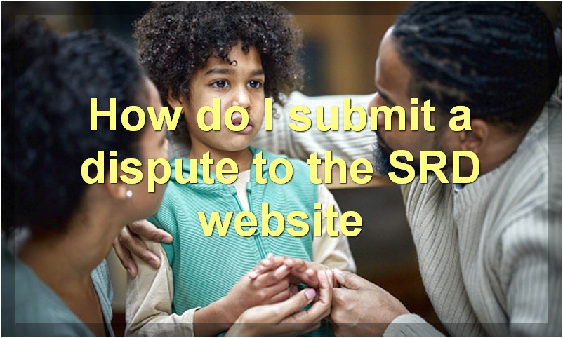 How do I submit a dispute to the SRD website?
