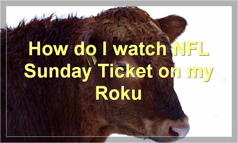 How do I watch NFL Sunday Ticket on my Roku?