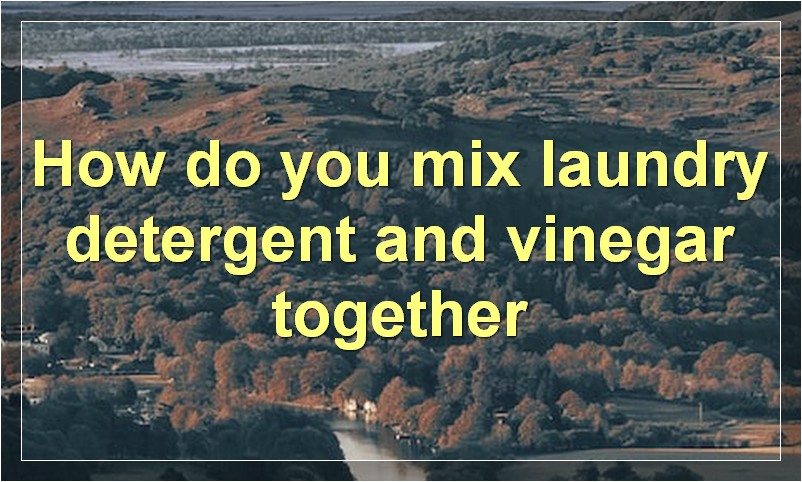 How do you mix laundry detergent and vinegar together?