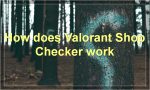 How does Valorant Shop Checker work?