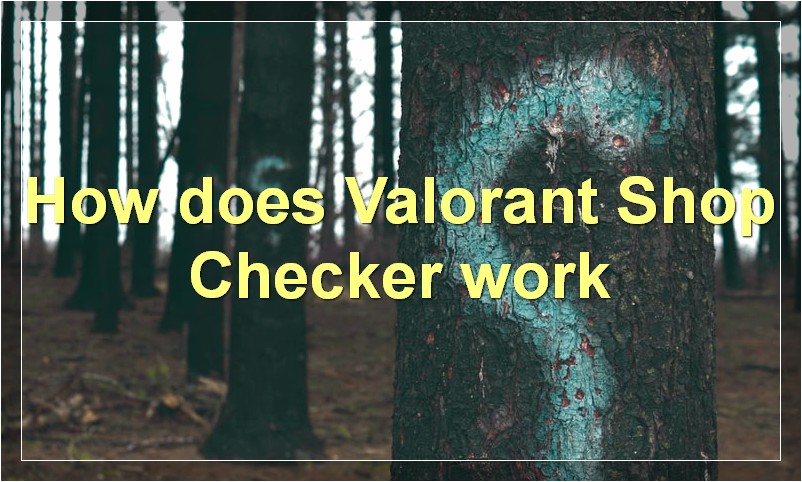 How does Valorant Shop Checker work?