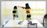How does phentermine alter energy metabolism in the body?