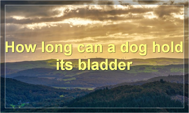 How long can a dog hold its bladder?