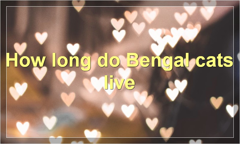 How long do Bengal cats live?