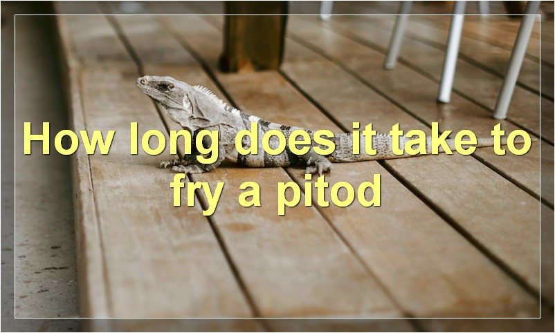 How long does it take to fry a pitod?