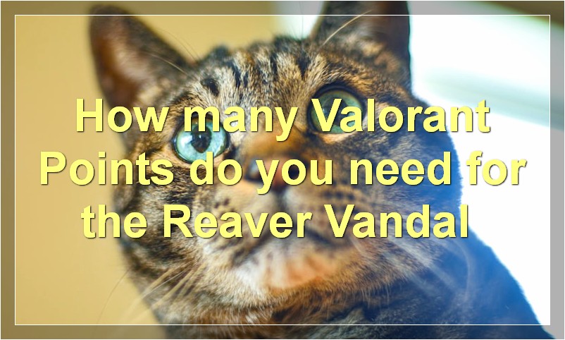 How many Valorant Points do you need for the Reaver Vandal?