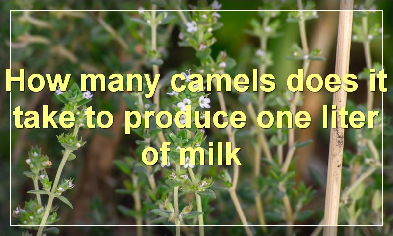 How many camels does it take to produce one liter of milk?