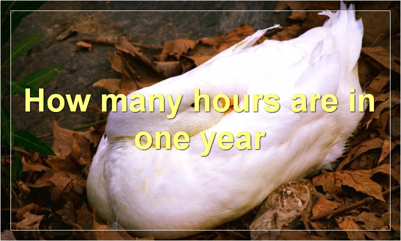 How many hours are in one year?