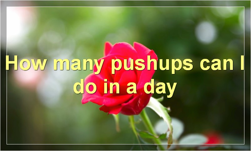 How many pushups can I do in a day?