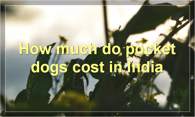How much do pocket dogs cost in India?