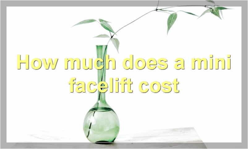 How much does a mini facelift cost?
