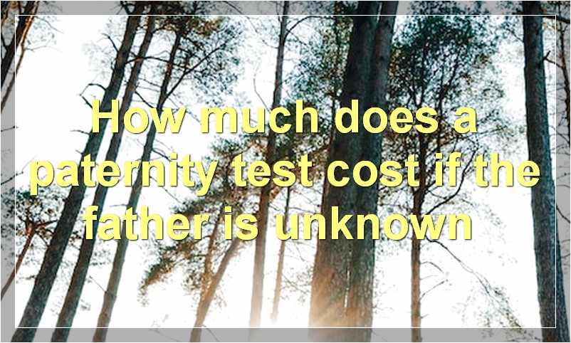 How much does a paternity test cost if the father is unknown?