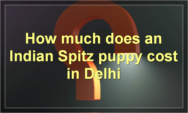 How much does an Indian Spitz puppy cost in Delhi?