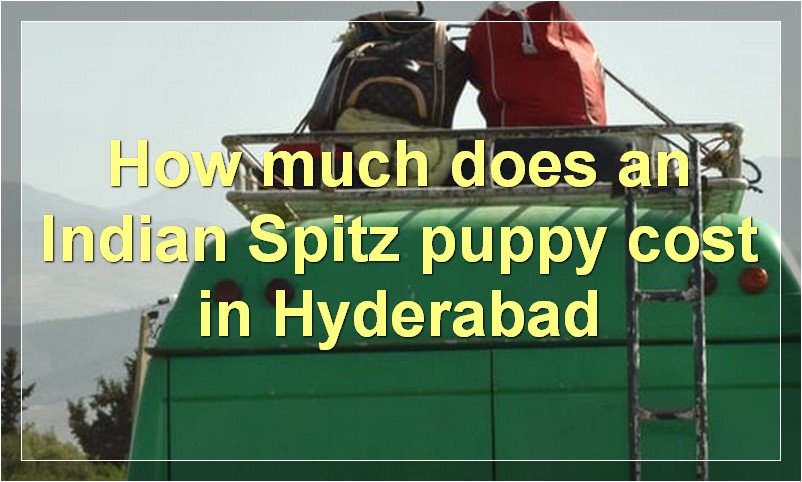 How much does an Indian Spitz puppy cost in Hyderabad?