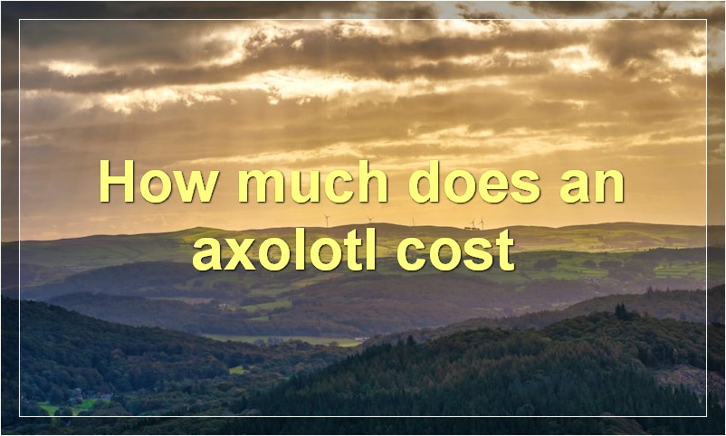 How much does an axolotl cost?