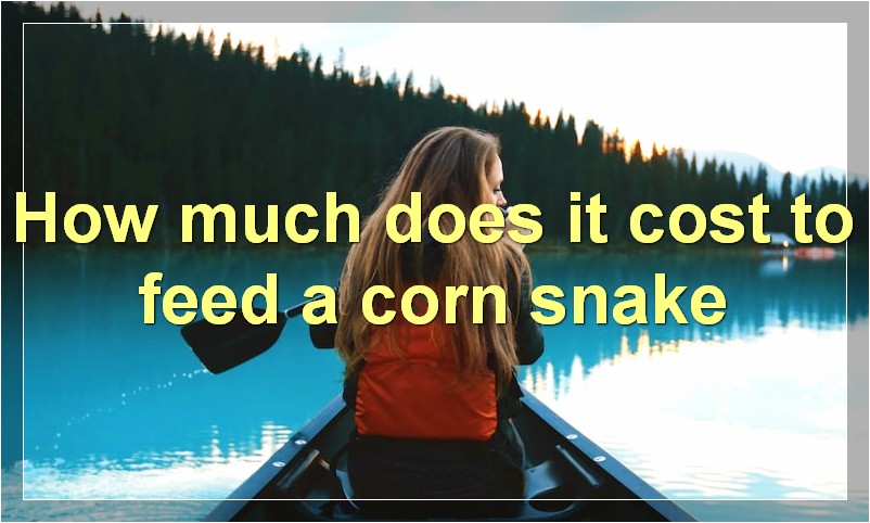 How much does it cost to feed a corn snake?