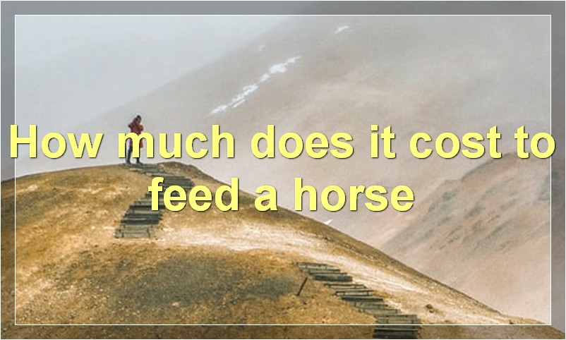 How much does it cost to feed a horse?