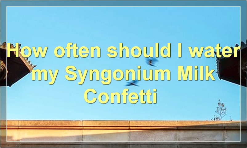 How often should I water my Syngonium Milk Confetti?