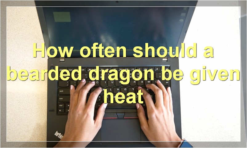 How often should a bearded dragon be given heat?