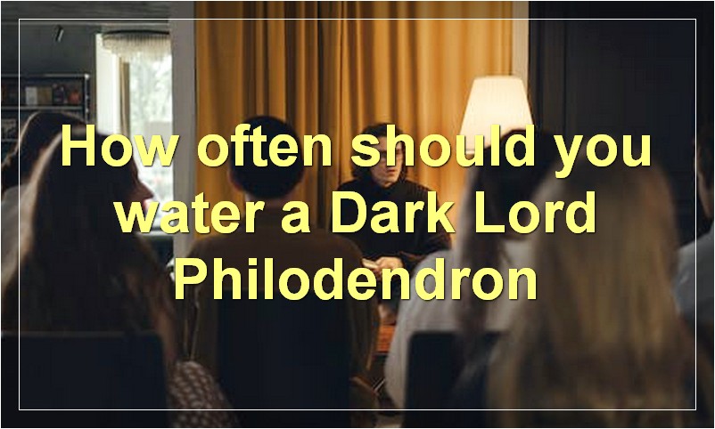 How often should you water a Dark Lord Philodendron?