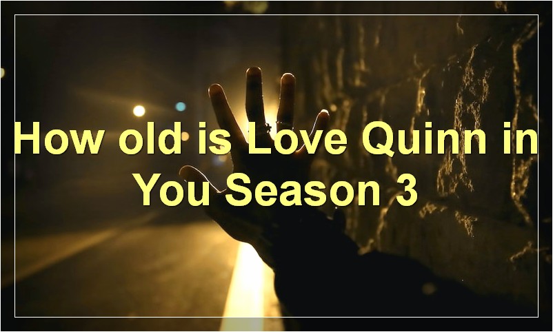 How old is Love Quinn in You Season 3?