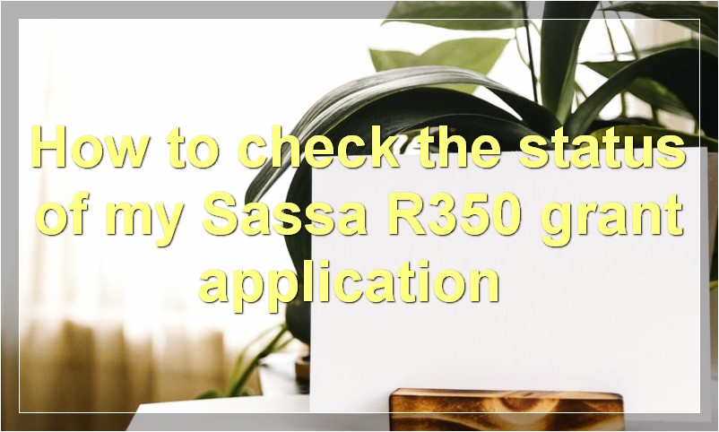 How to check the status of my Sassa R350 grant application?