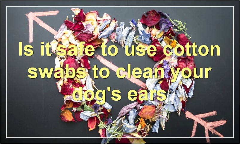 Is it safe to use cotton swabs to clean your dog's ears?