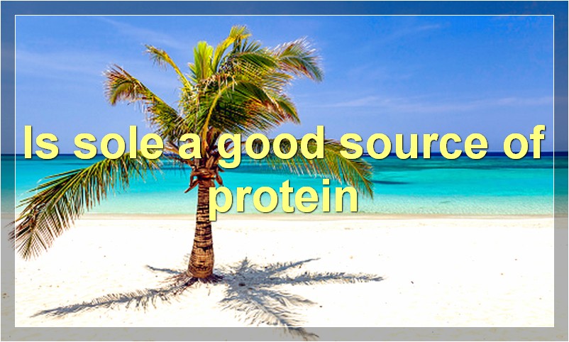Is sole a good source of protein?