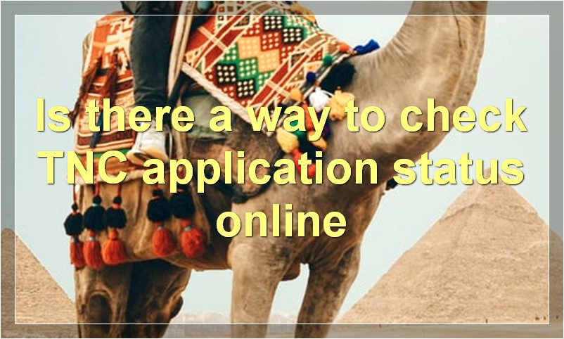 Is there a way to check TNC application status online?