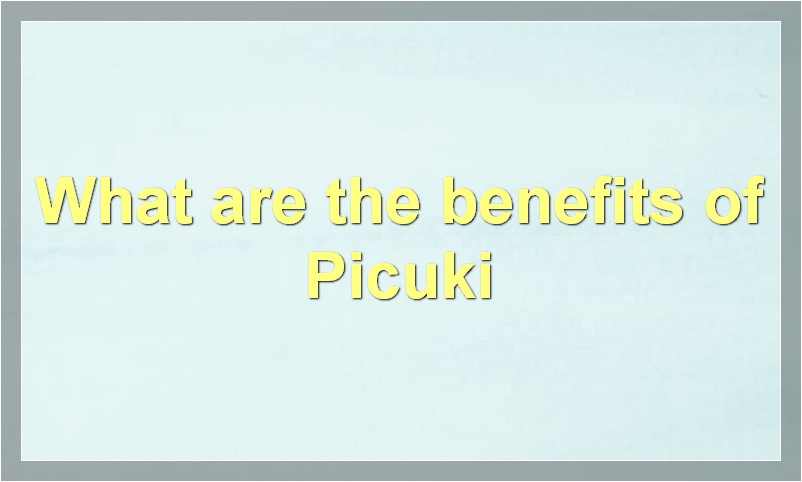 What is Picuki? How to Use It?