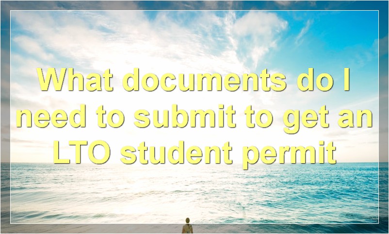 What documents do I need in order to use the Natis Online Booking Portal?