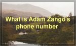 What is a Z84 form?